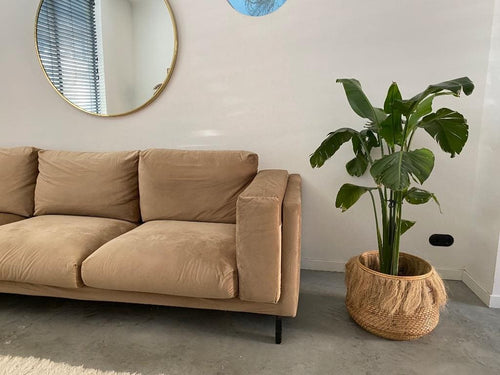 Échantillons housses de canapé